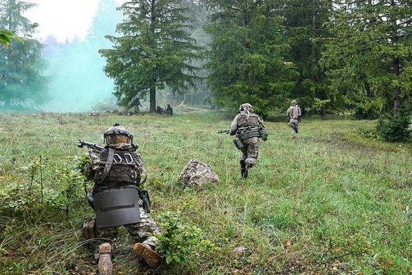 Через какой браузер заходить на кракен